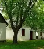 Hajósi Pincefalu, Hajós