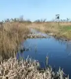 Harka-tó tanösvény, Harkakötöny