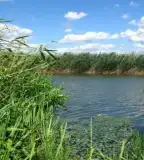 Fűzvölgyi-öntöző-főcsatorna, Harta