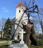 Árpád fa, Hédervár