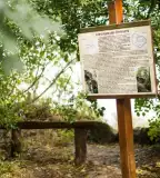 Hegyesdi Várhegy tanösvény, Hegyesd