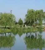 Stettni-tó, Hegyeshalom