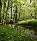 Rókalyuk turistaösvény, Hegyhátszentjakab