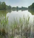 Hegykői Horgásztó, Hegykő