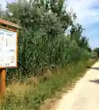 Hegykői Tanösvény, Hegykő