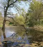 Csere-erdő, Hencida