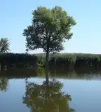 Klágya I., Hercegszántó