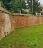 Árvédelmi fal (Kőfal), Hódmezővásárhely