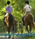 Dél-Alföldi Lovasudvar, Hódmezővásárhely