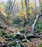 Holdvilág-árok, Pomáz