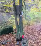 Élő Áldott-Gyökér Emlékhely (13/10), Pomáz