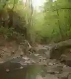 Hollókői tanösvény, Hollókő