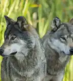 Hortobágyi Vadaspark, Hortobágy