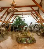 Hunor Vadászati Kiállítás, Vásárosnamény