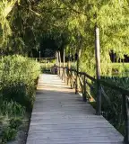 Kolostorok és Kertek, Veszprém