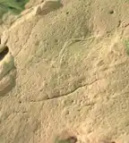 Kőzetparki ösvény, Ipolytarnóc