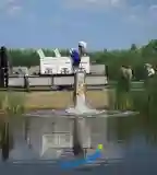 Irmapusztai Horgásztó, Balatonlelle