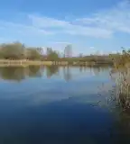 Park Horgásztó, Isaszeg