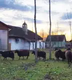 Skanzen, Jánoshalma