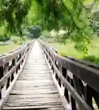 Desedai Parkerdő és Arborétum, Kaposvár