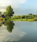 Iping Horgásztó, Kapuvár