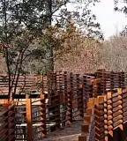 Lombkorona sétány, Karcag