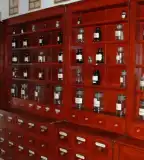 Orvostörténeti és Patikamúzeum, Karcag