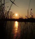 Katymári Batinkov-tó, Katymár