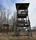 Bekó kilátó, Kecel