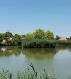 Kenderföldi-tó, Kecel