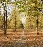 Kecskeméti Arborétum, Kecskemét