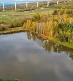 Cserkész-tó, Kereki