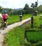 Debrecen környéke kerékpártúra, Debrecen