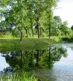 Kövi csík tanösvény, Kerkaszentkirály