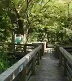 Kertek-alja Tanösvény, Hollókő