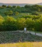 Pálos Gyógynövénykert, Kesztölc