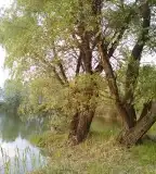 Kétegyházi homokbányató, Kétegyháza