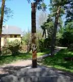 Kopjafa, Kincsesbánya