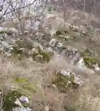 Mérus-erdő tanösvény, Babócsa