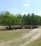 Borókás tanösvény, Barcs