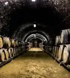 Tűzkő Birtok, Bátaapáti