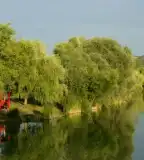 Maconkai víztározó, Bátonyterenye