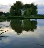 Horgásztó, Bicsérd