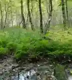 Alsó-hegyi Zsombolyos tanösvény, Bódvaszilas