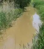 Kis-Sajó (Ős-Bódva meder), Boldva