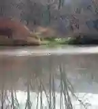 Bonyhádi-tőzegtavak, Bonyhád