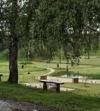 Nemzedékek parkja, Bőszénfa