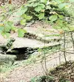 Egidius-forrás, Buják