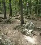 Boldogasszony köve, Bükkszentkereszt