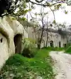 Baglyosi pincesor, Bükkzsérc